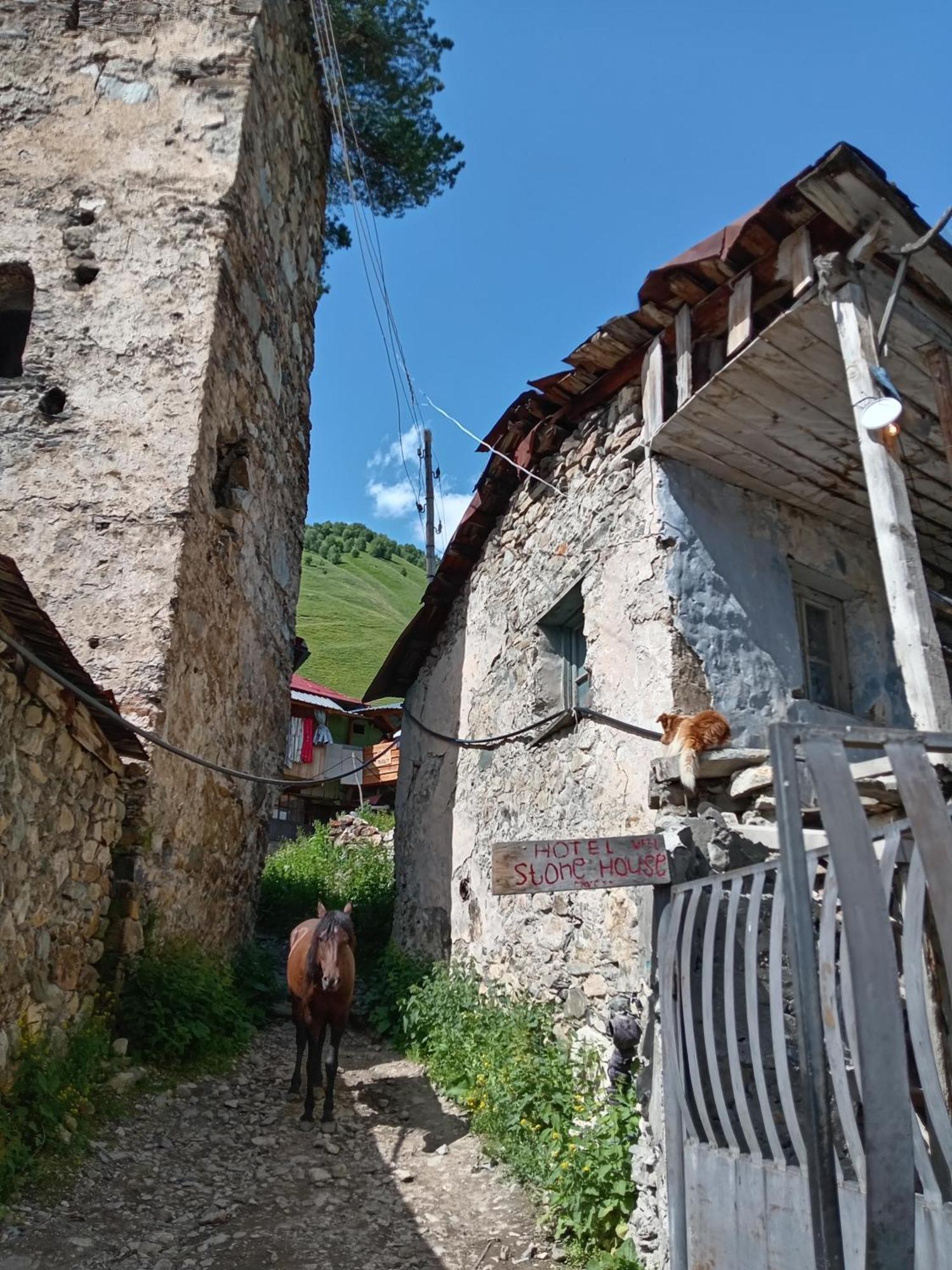 Stone House Marexi Hotell Adishi Exteriör bild
